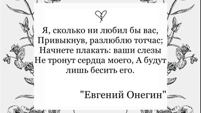 Евгений Онегин  читательский влог???