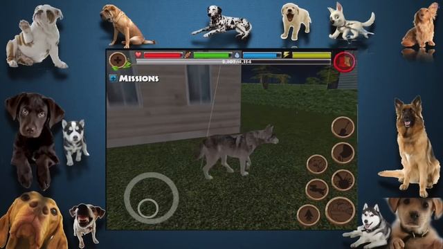 Dog Simulator - Part 2 - Recruit Dogs-Compatible with iPhone, iPad, and iPod touch. Android смотреть онлайн