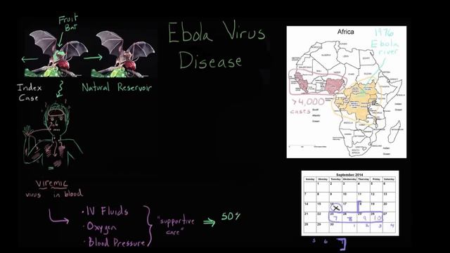 Understanding the Ebola virus outbreak | Heatlh & Medicine | Khan Academy смотреть онлайн