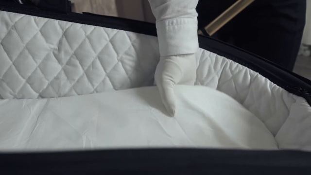 Видео обзор детской коляски Carrello Epica 2 в 1