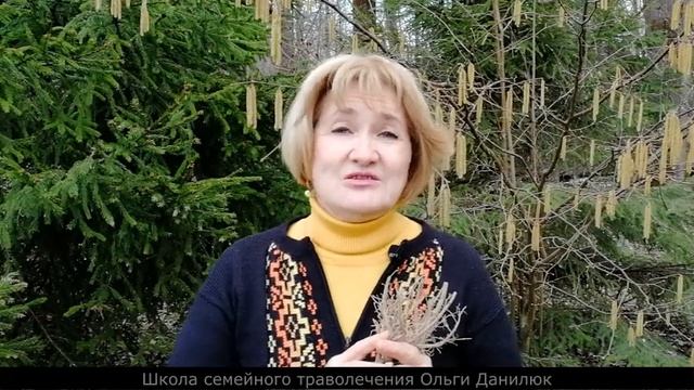 Одуванчик и его корни смотреть онлайн