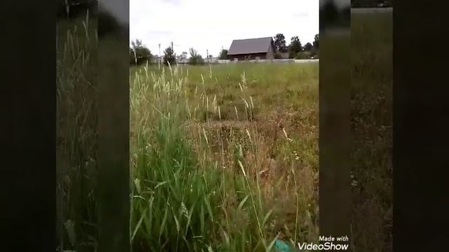 ИСКУССТВО ЛЮБОВАНИЯ ? ВСЕ ОТТЕНКИ ЗЕЛЁНОГО ? смотреть онлайн