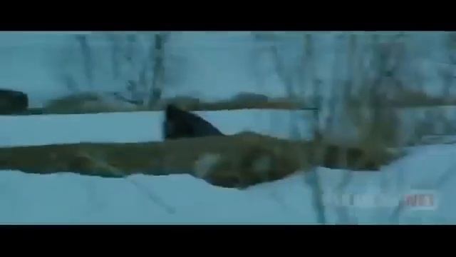 xind kino uzbek tilida хинд кино 2022 yil олтинлар уларда киноси смотреть онлайн