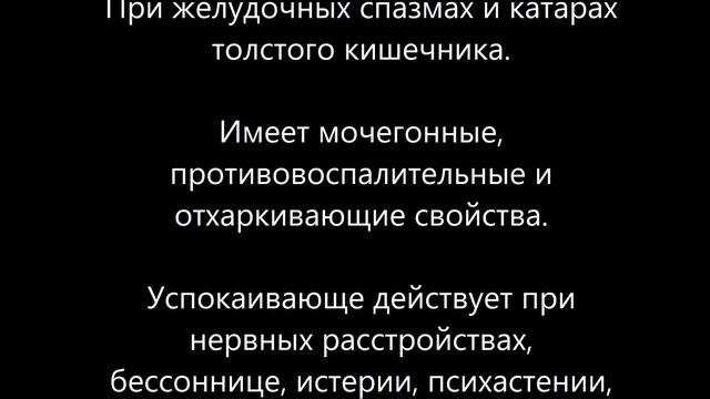 Пустырник – применение смотреть онлайн