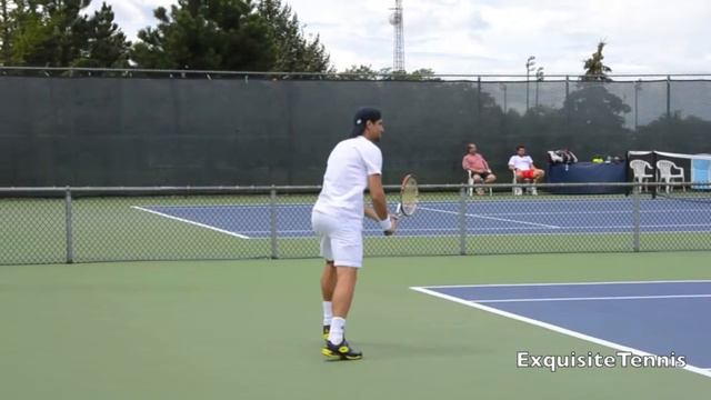 David Ferrer Backhands in Slow Motion смотреть онлайн