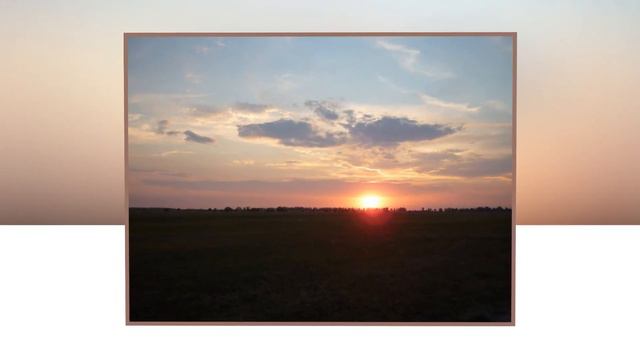 🌷Арт-студия "Я люблю снимать фото и видео". Наши фотозарисовки: с 21 по 28 мая смотреть онлайн