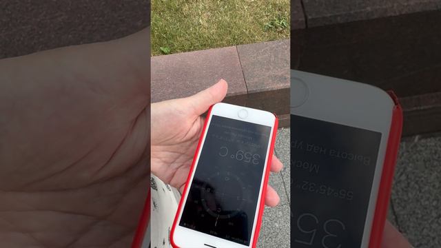 Прогулка с Татьяной Смирновой смотреть онлайн