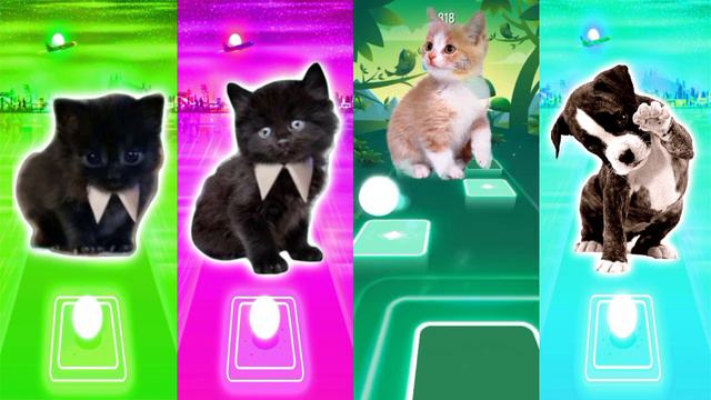 CUTE CATS Lady Gaga Bloody Mary vs Blackpink vs Imagine Dragons vs Dance Monkey | Tiles Hop EDM Rus смотреть онлайн
