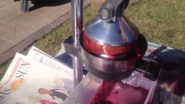 Pomegranates! смотреть онлайн