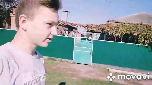 За сколько секунд дворняга пробежит 100 метров смотреть онлайн