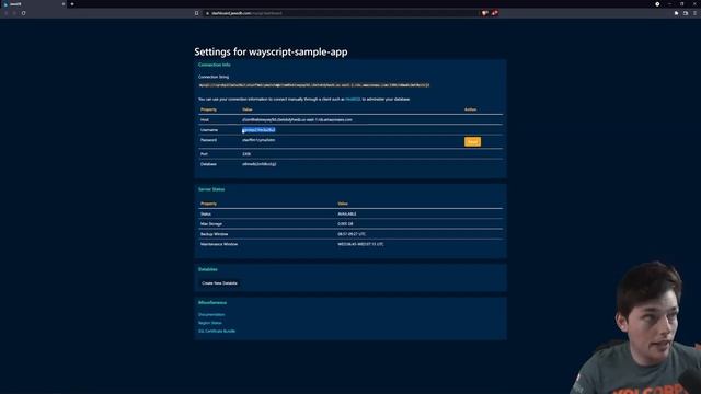 Setup a Database API Service for SQL DBs | Read, Write, Query смотреть онлайн