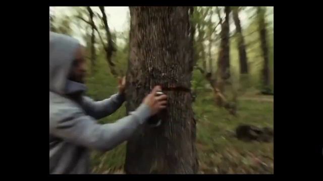 Shiza-qamjeme  Sheker-2