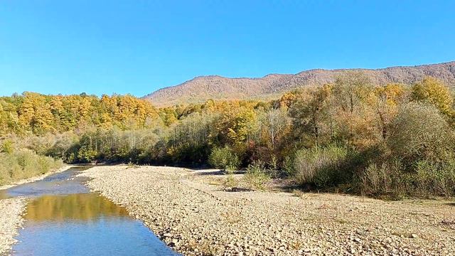 Пшиш Река ) Подвесной Мост к Пелике:-)) смотреть онлайн