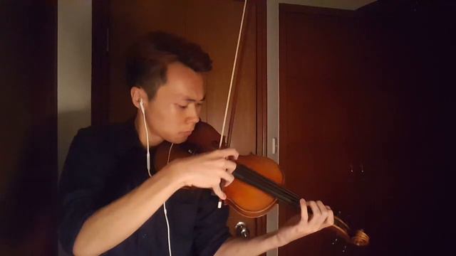 Alan Walker & Alex Skrindo - Sky - violin cover by UnDerDog смотреть онлайн