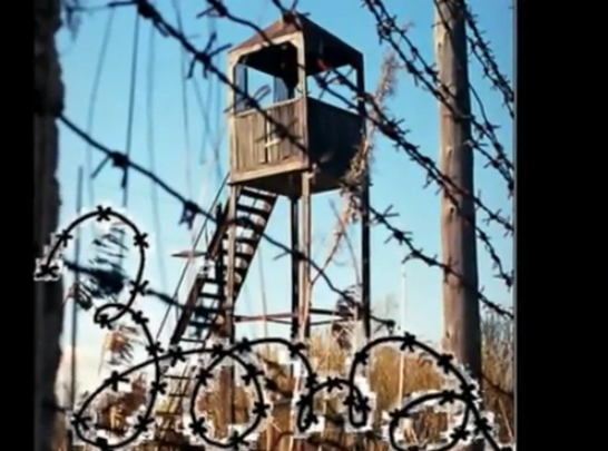 Зона смотреть онлайн