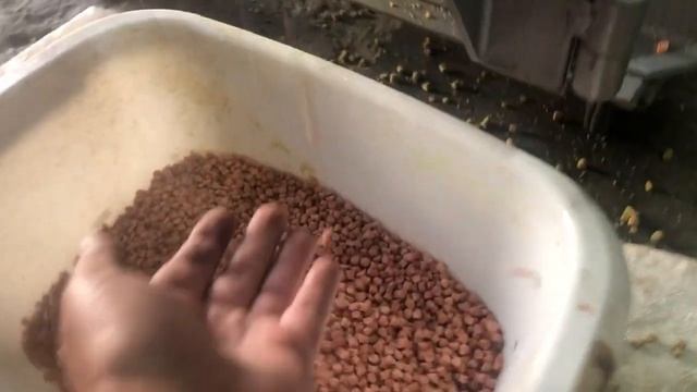 Экструдер для изготовления кормов для рыб, черепах и т.д. смотреть онлайн
