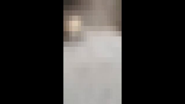 Guf натравил свою овчарку на соседскую собаку смотреть онлайн