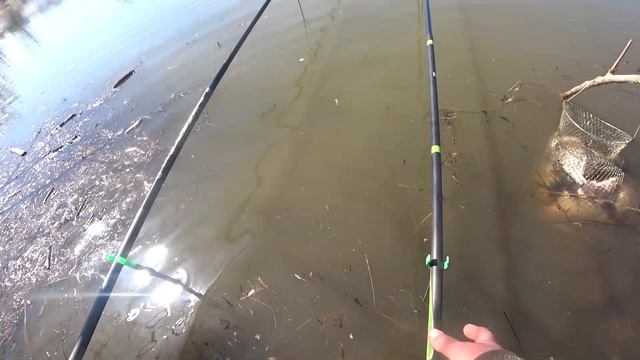 Закинула ПОПЛАВОК под кустик... Неужели карась? Рыбалка весной 2022. смотреть онлайн