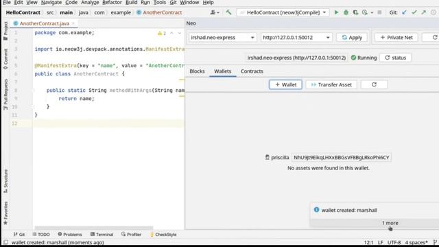 Intellij Neo Plugin Demo - Neo Frontier Blockchain Launchpad смотреть онлайн