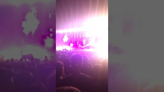 Oracle VS Seek Bromance | Timmy Trumpet (EDP BEACH PARTY 2018) смотреть онлайн