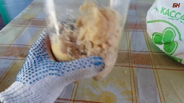 разведение опарыша из яйца, быстро просто, результативно смотреть онлайн