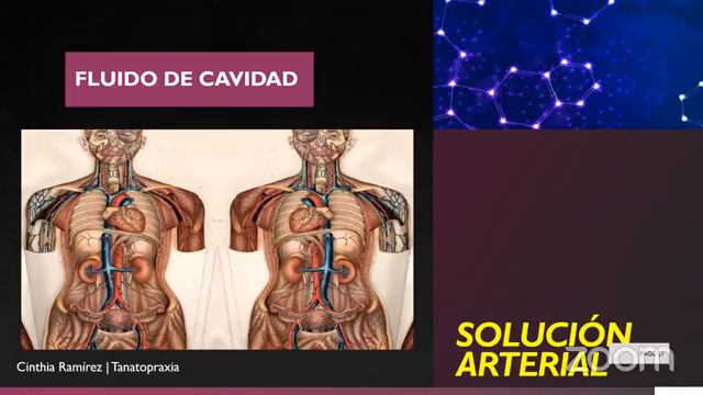 Química aplicada en el embalsamamiento смотреть онлайн