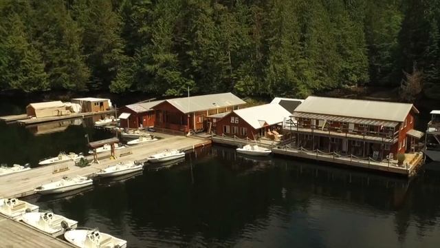 Legacy Lodge® Saltwater Fly Fishing for Salmon смотреть онлайн