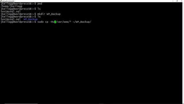 Backing up a WordPress installation Before Upgrading PHP смотреть онлайн