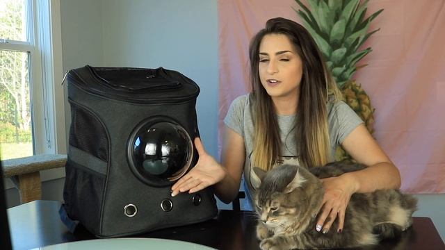 The 'Fat Cat Backpack' for XXL KITTIES ? смотреть онлайн