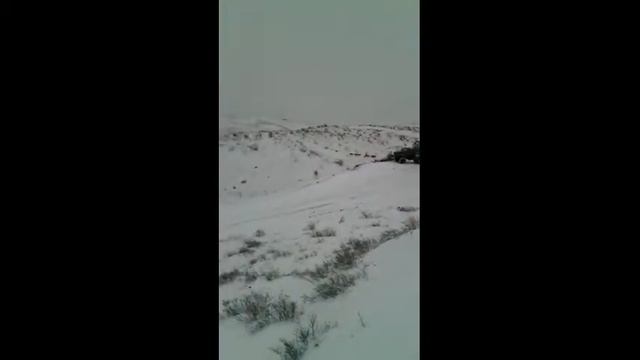 Южный Жаур. Казахстан. смотреть онлайн