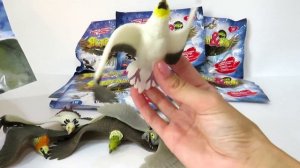 Ястребы и Ко МАКСИ коллекция от деагостини. Обзор ХИЩНЫХ птиц.  #ястребы#deagostini #деагостини