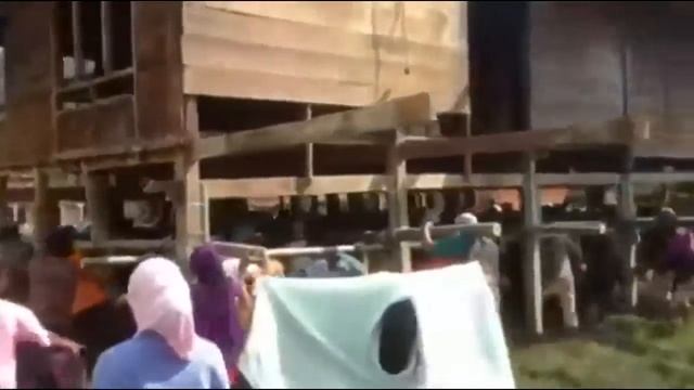 Переносной дом смотреть онлайн