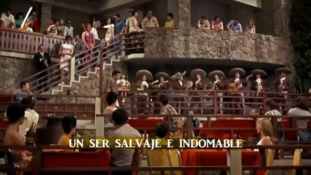 Elvis Presley.Margarita - De la pelicula El idolo de Acapulco-1963 смотреть онлайн