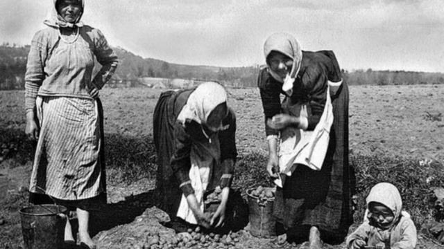"Знакомые незнакомцы" - история о картошке смотреть онлайн