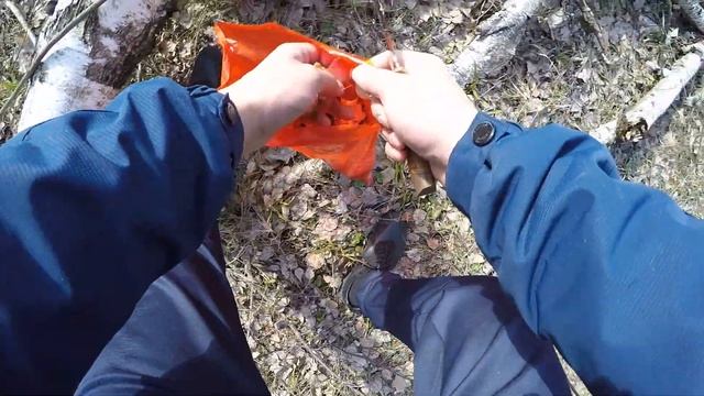 Первые весенние грибы.Грибы в Сливках. смотреть онлайн