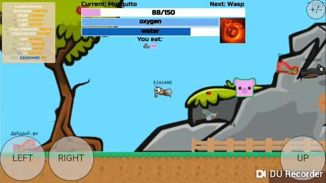 ЭВОЛЮЦИЯ МУХИ!!! смотреть онлайн