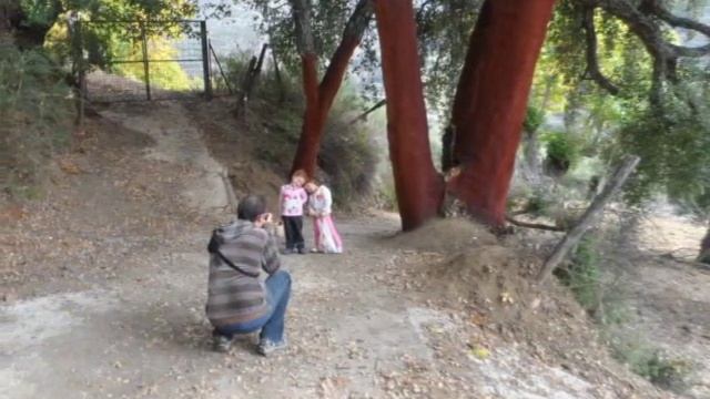Мое утро и день (ч.4), каштановая долина и спуск к горной речке, Параута (Ронда), 15 ноября 2015 г смотреть онлайн