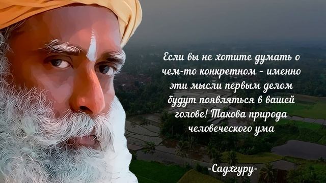 33 цитаты Садхгуру, меняющие мировоззрение!    Афоризмы и мудрые высказывания