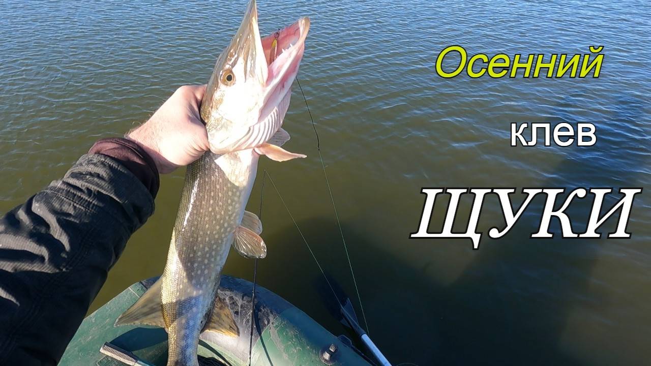 Поставил эту приманку и начал косить щуку.Осенний клев щуки. смотреть онлайн