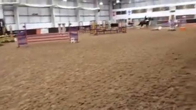 Divine legacy смотреть онлайн