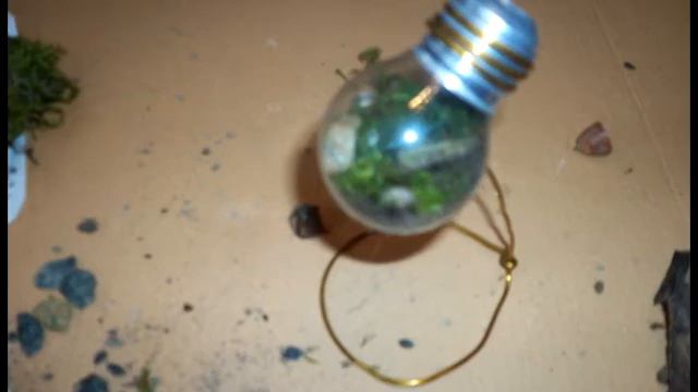 КАК СДЕЛАТЬ ВЕЧНЫЙ ТЕРРАРИУМ смотреть онлайн