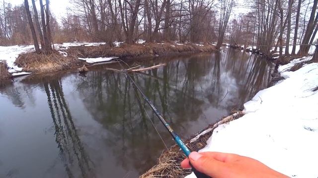 ПРЕДНЕРЕСТОВЫЙ ЖОР ЩУКИ НАЧАЛСЯ! Глубины МЕТР, но СКОЛЬКО ТУТ РЫБЫ! Рыбалка на спиннинг весной! смотреть онлайн