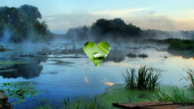 Л.Шепилова и А.Сотник - " Русалочка" смотреть онлайн