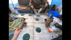 Отличная зимняя рыбалка на Красноярском "море" 3 серия/ Дневной клёв окуня