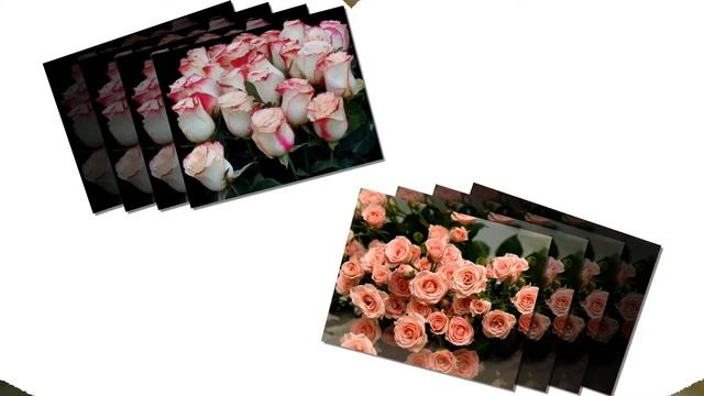 Красивые Розы смотреть онлайн