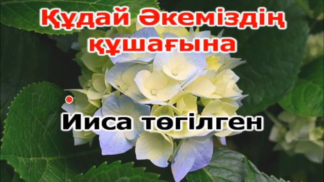 Караоке# казакша# Kudaidyn Tynyshtygynda #Жанат©️ смотреть онлайн