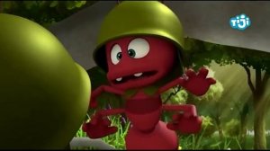 Пчёлка Майя