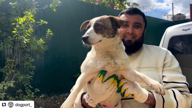 Фрося приехала в Догпорт смотреть онлайн