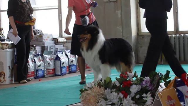 Моно колли Екат-рг 30.03.14 смотреть онлайн