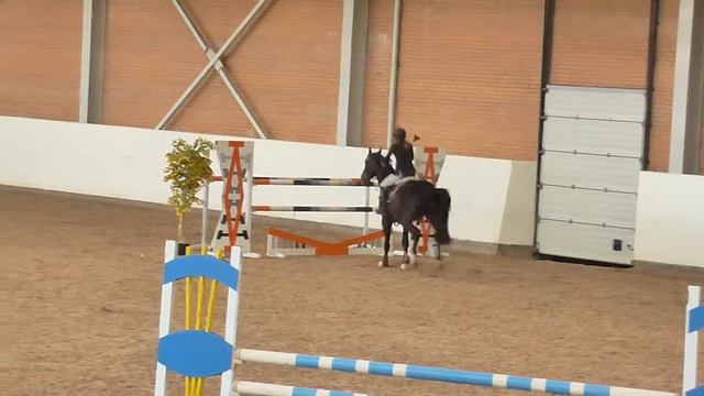 2017.02.12 Дерби Кваренги Анна Громзина перепрыжка 145 смотреть онлайн